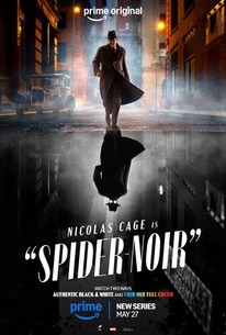 Spider-Noir, Season 1